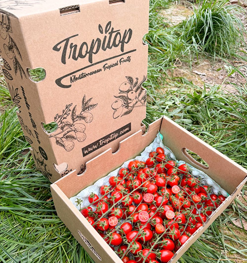 Caja De Tomates Cherry En Rama Tropitop Caja De 4kg_2