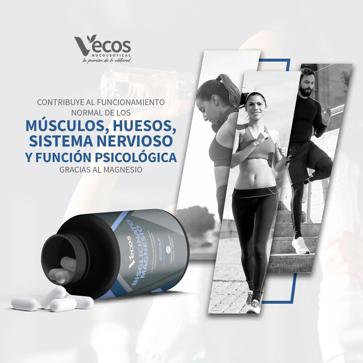 Bisglicinato magnesio Vecos 200 capsulas