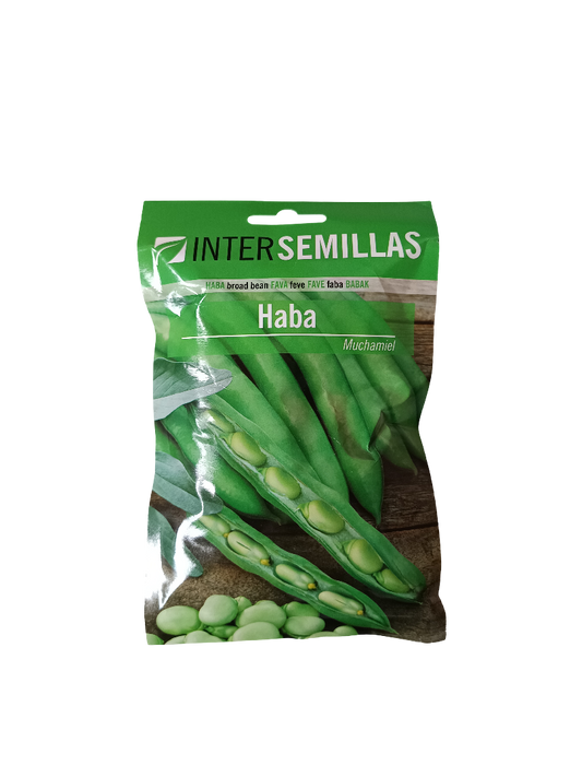 Semillas De Haba Variedad Muchamiel 100 Gr._0