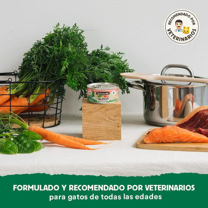 Pack Lata de Salmón y Ternera BARF para gatos 6 x 120 g Wild Balance