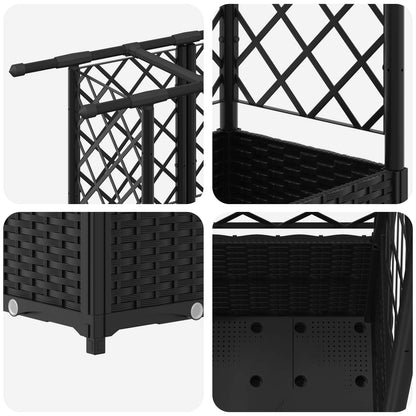 Cama Elevada Con Trellis Y Techo Negro 163,5 X 40 X 136 Cm Pp_5
