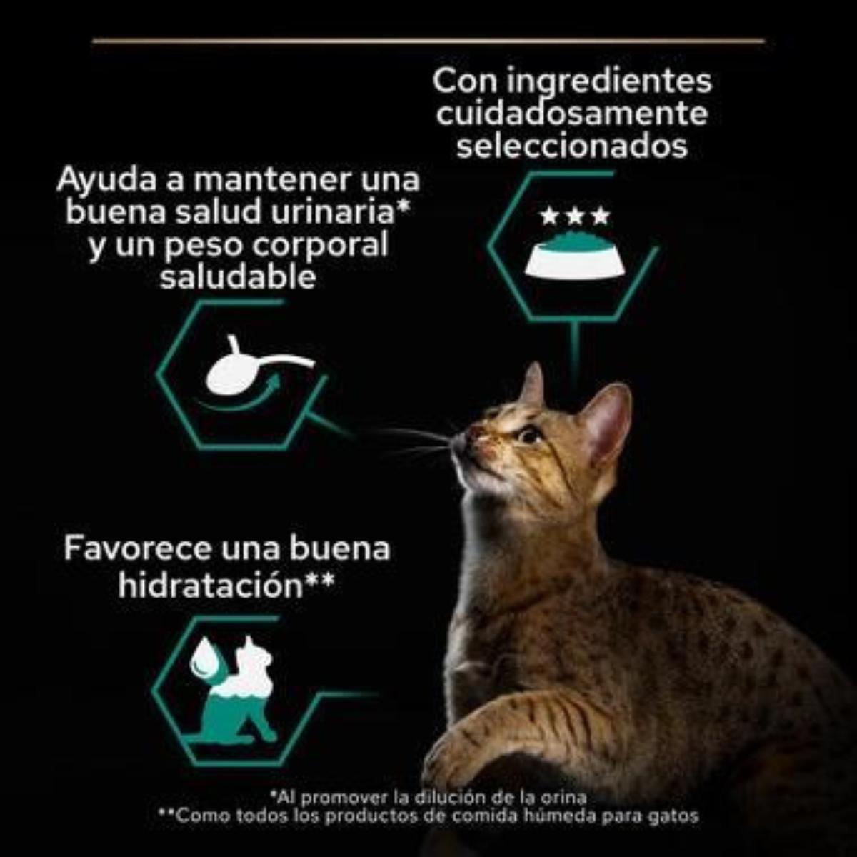 Pro Plan Gato Adulto Sterilised Maintenance Terrina con atún y salmón Purina lata 12 x 85 g