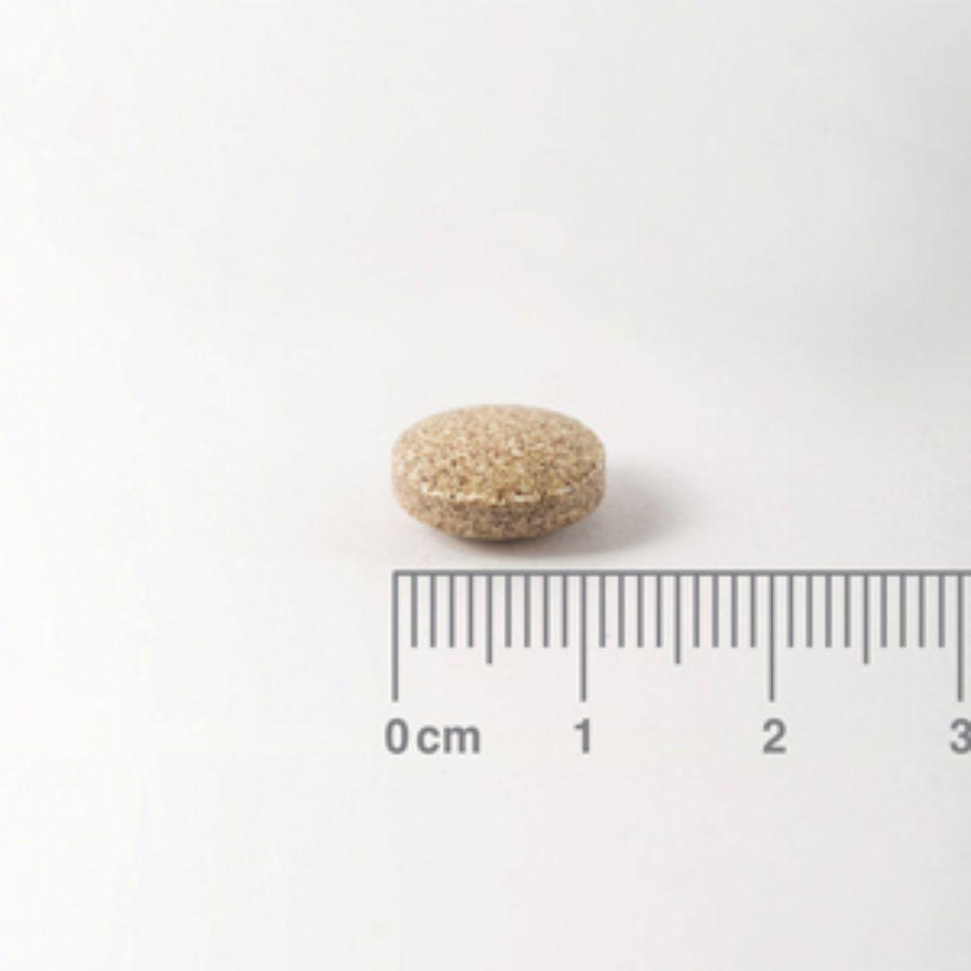Ginkgo Biloba 6.000 mg, Lamberts 60 tabletas