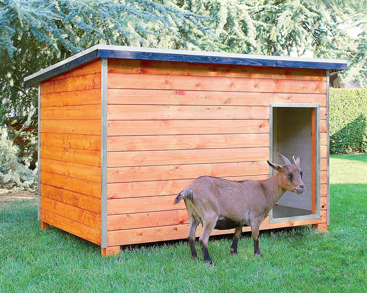 Gallinero Para Pavos Y Otras Grandes Aves - Caseta Para Animales - Refugio Para Cabras Y Ovejas_1