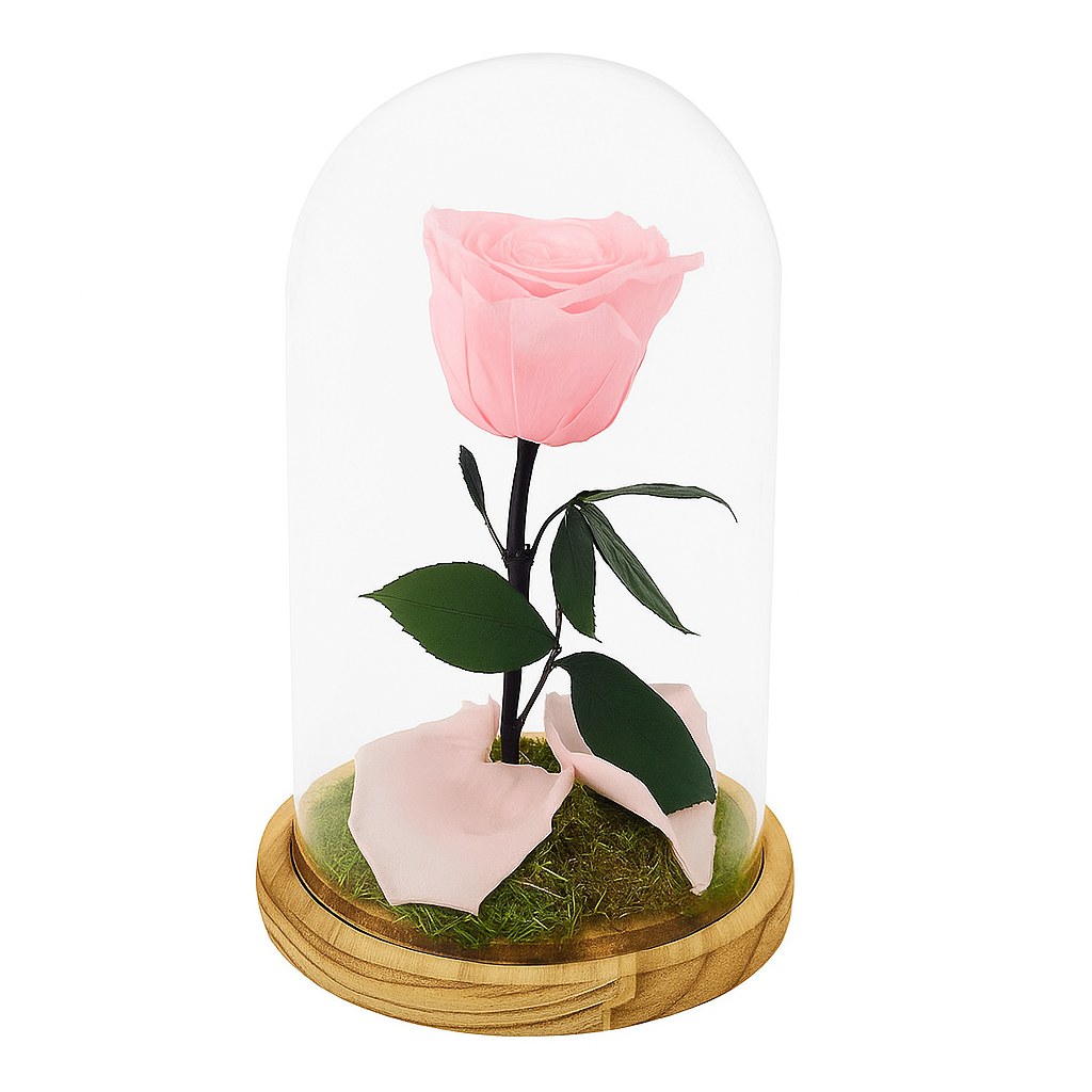 Mundo Eterno Rosa En Cúpula Rosa Claro (light Pink) 12x20cm_1