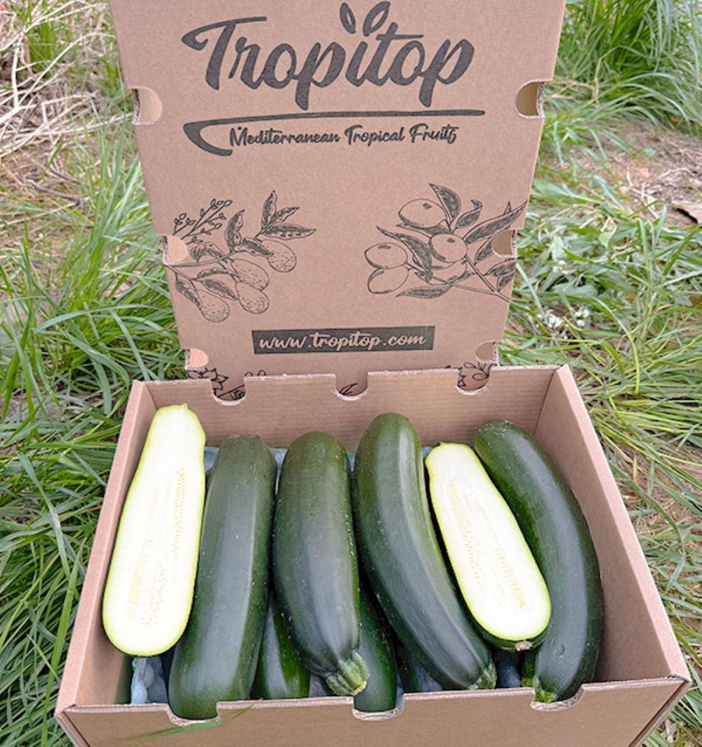 Caja De Calabacín Negro De Temporada Tropitop Caja De 3kg_1
