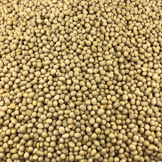 Harina De Coco Ecológica Granel 25 Kg_0