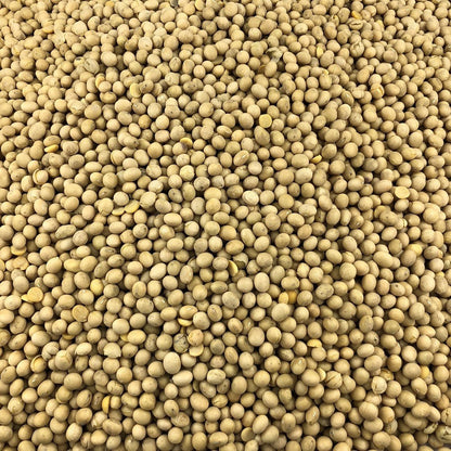 Soja Amarilla Ecológica Granel 10 Kg_2
