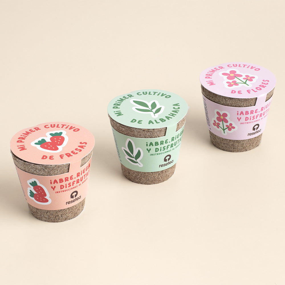 Mi Primer Cultivo de Fresa – Kit Educativo STEM para Cultivar Fresas en Casa, Niños - Resetea_3