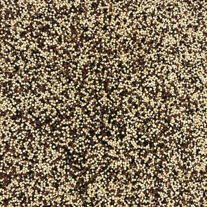Quinoa Trio Blanca Roja Negra Orgánica Granel 0,5 Kg_2