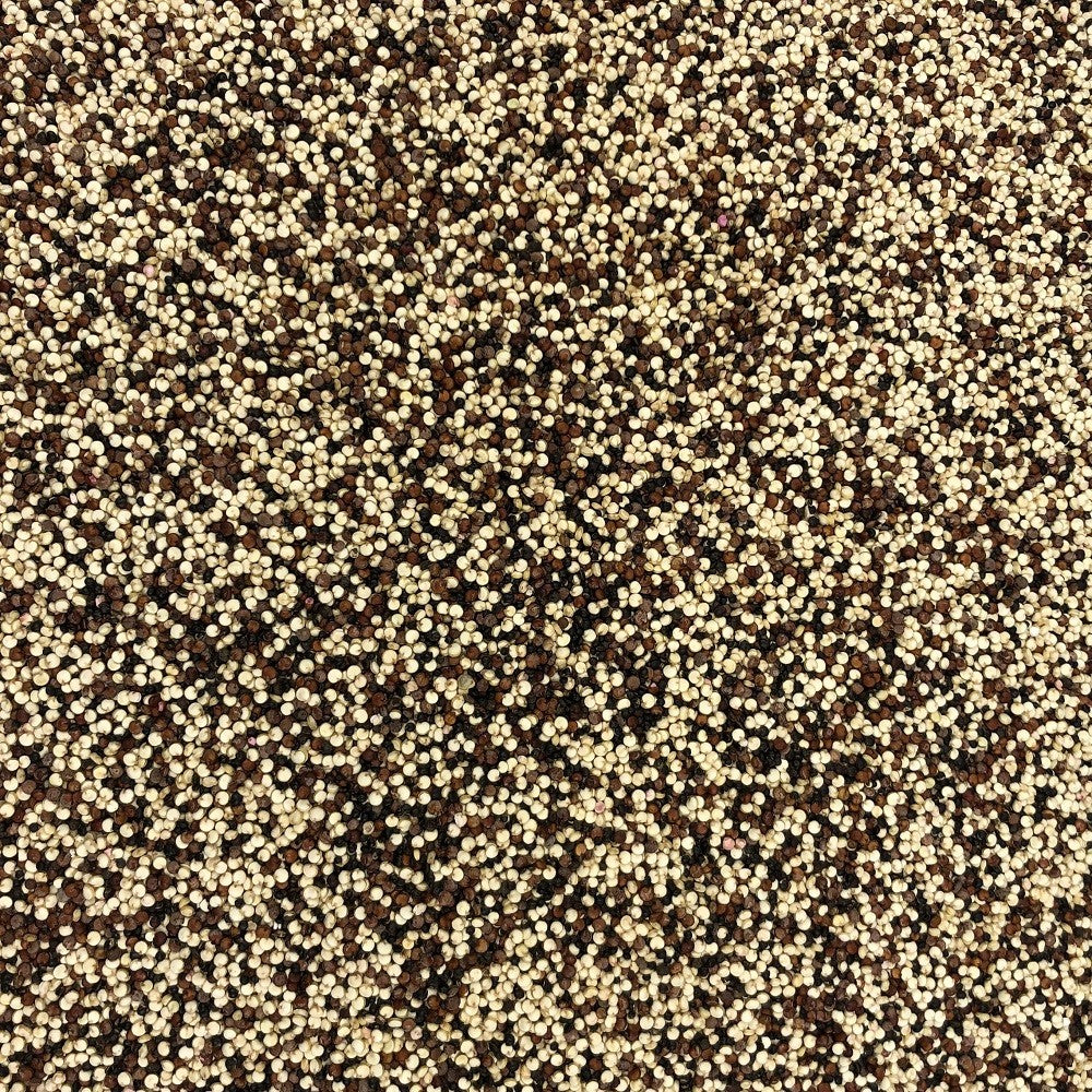 Quinoa Trio Blanca Roja Negra Orgánica Granel 5 Kg_2