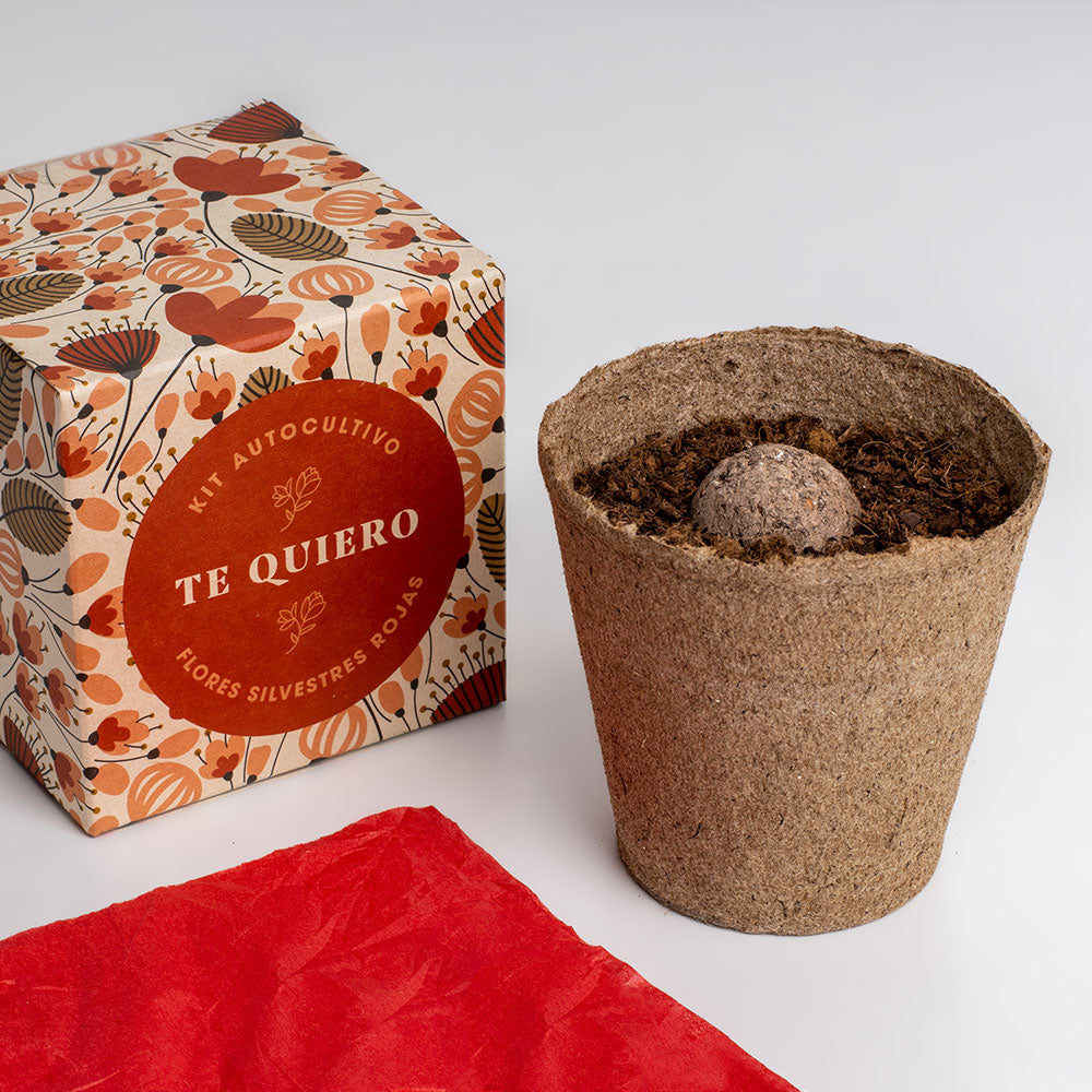 Díselo con Flores "Te Quiero" Kit Cultivo Flores Silvestres Rojas | Regalo Original - Resetea_2