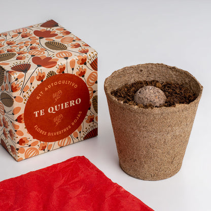 Díselo con Flores "Te Quiero" Kit Cultivo Flores Silvestres Rojas | Regalo Original - Resetea_2