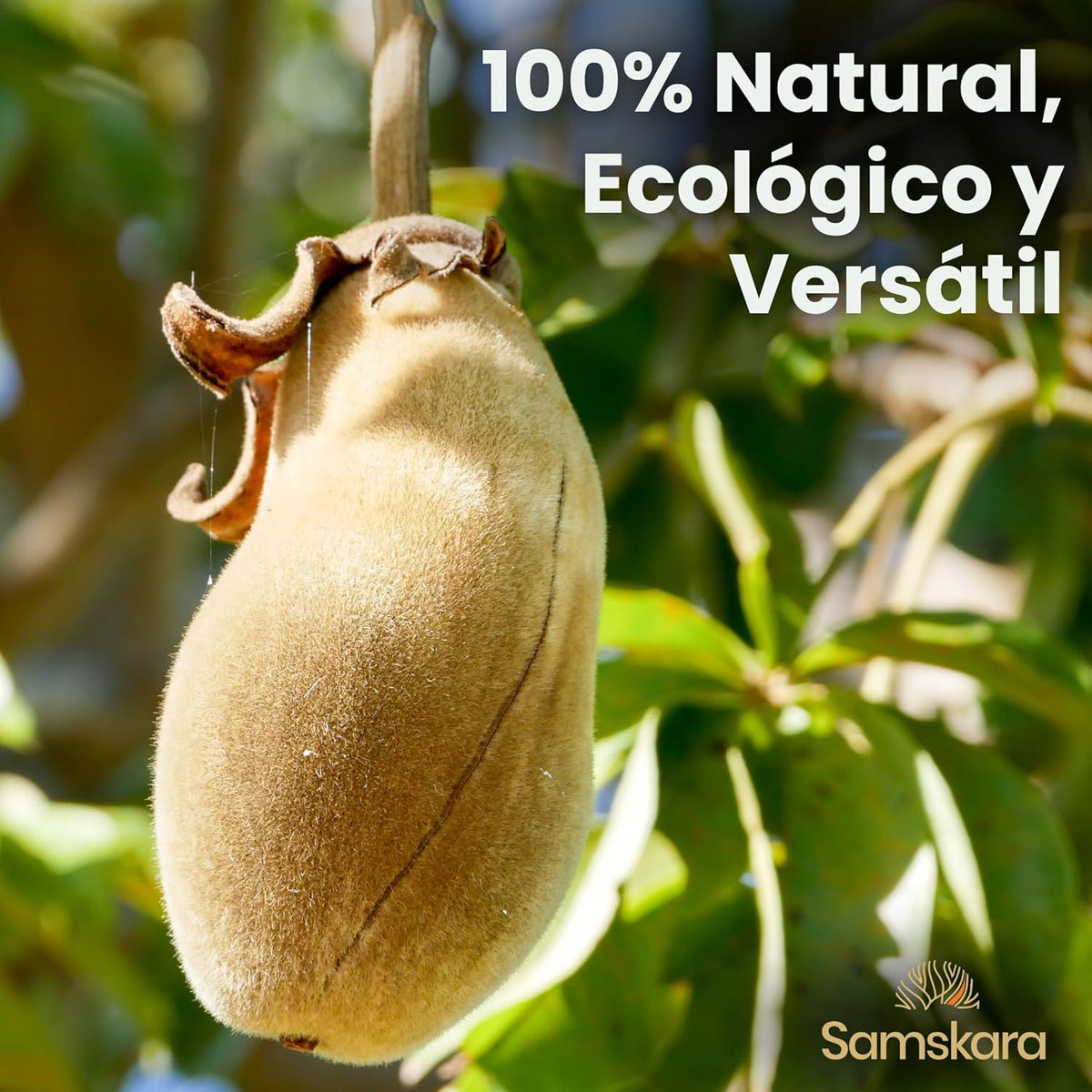 Baobab En Polvo Bio - 500g | Superalimento Ecológico Vegano Para Batidos, Smoothies Y Zumos, Sin Azúcares Añadidos_2