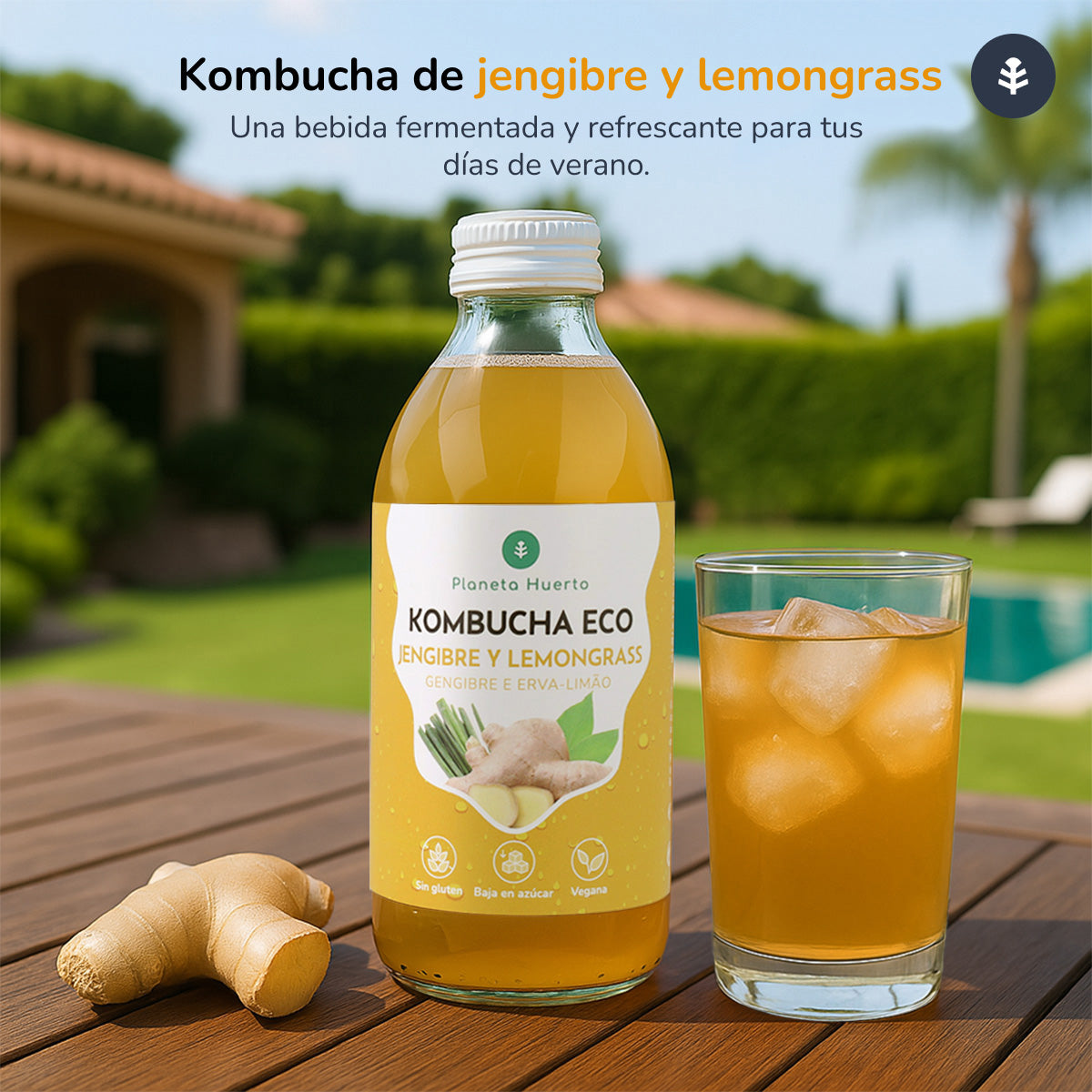 Pack 6x Kombucha ECO Jengibre y lemongrass Planeta Huerto 330 ml