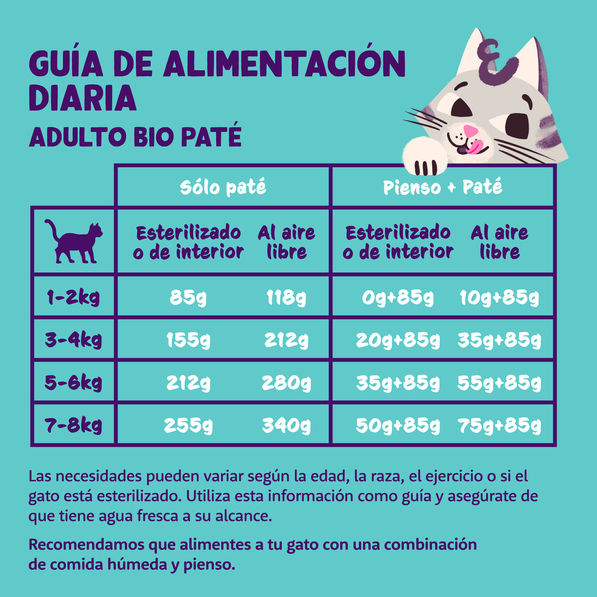 Paté ecológico de pavo para gato adulto Edgard & Cooper 85 g