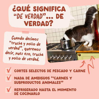 Sobre de Comida Húmeda Trucha &amp; Pollo en Salsa para Gatos Edgard &amp; Cooper 85 g