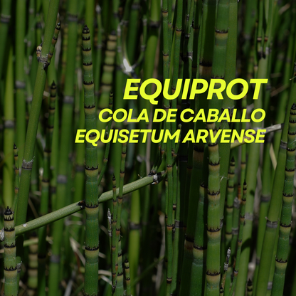 Fortificante ecológico de cola de caballo para plantas Equiprot Prot-eco 100 ml + pipeta dosificadora 5 ml gratis_1