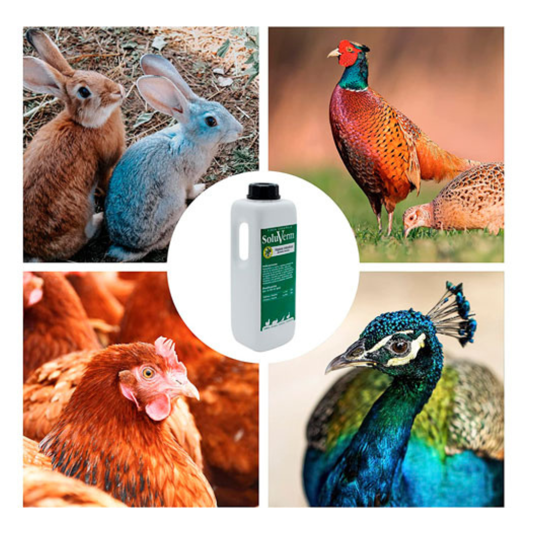 Soluverm - Desparasita Tus Gallinas, Faisanes Y Conejos Contra Parásitos Internos Tipo Vermes - 1 L_1