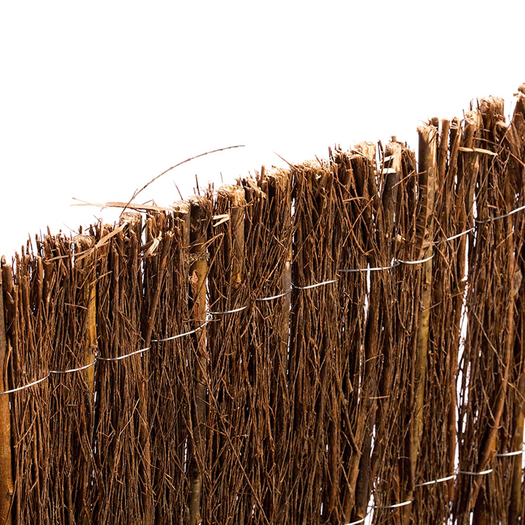 Brezo Combi: Ocultación Natural Y Estética En Tu Jardín - 2x3 M - Multicolor_1