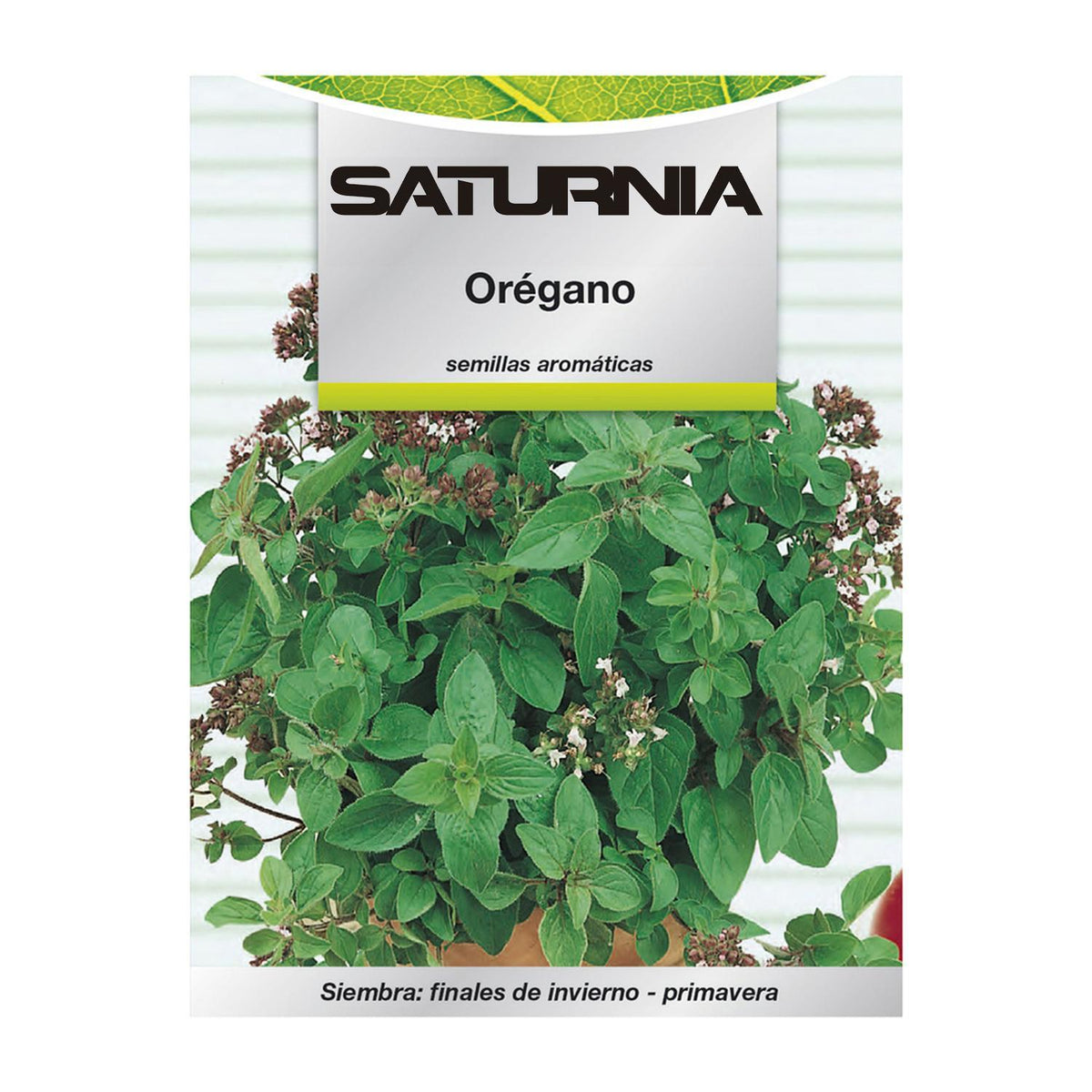 Semillas Aromaticas Oregano (0.3 Gramos) Horticultura, Horticola, Semillas Huerto._0