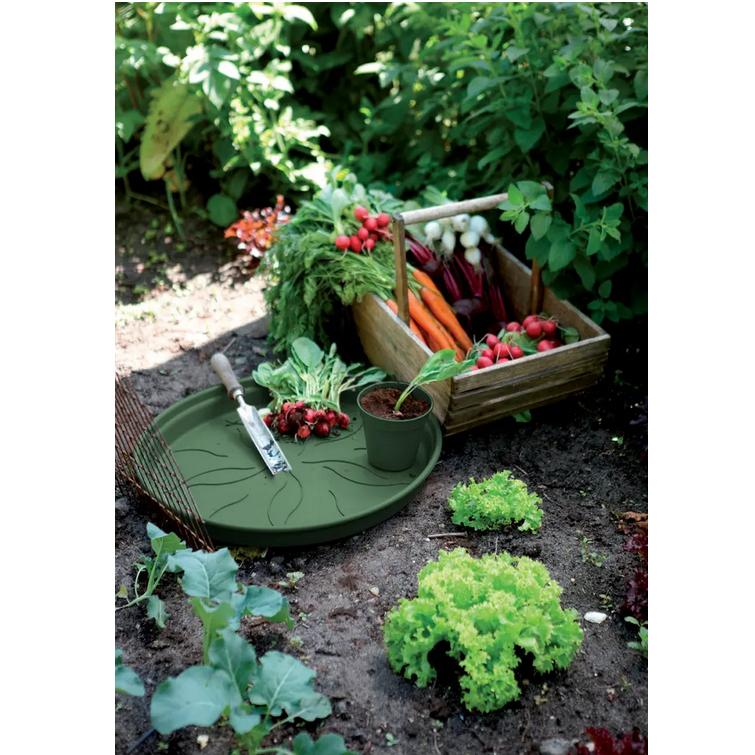 Plato tiesto Green Basics Elho Verde 14 cm