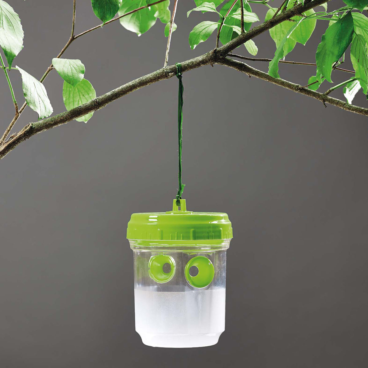 Trampa mosquero avispas y moscas de la fruta 2 ud Verdemax