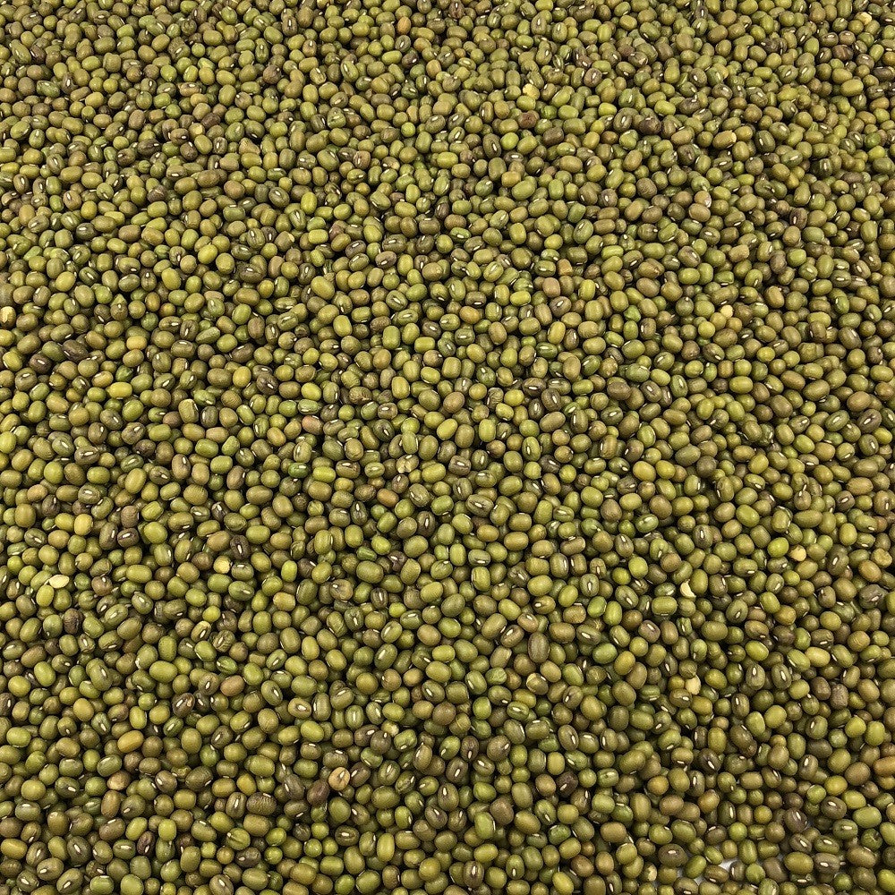 Soja Verde Ecológica Granel 10 Kg_2