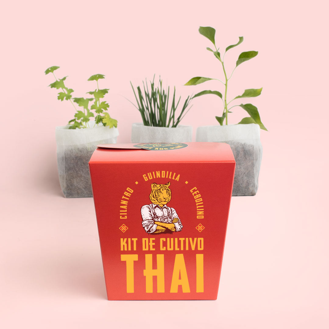 Kit Thai – Cultiva Cilantro, Guindilla y Cebollino en Casa, Regalo Original Cocina Asiática - Resetea_2