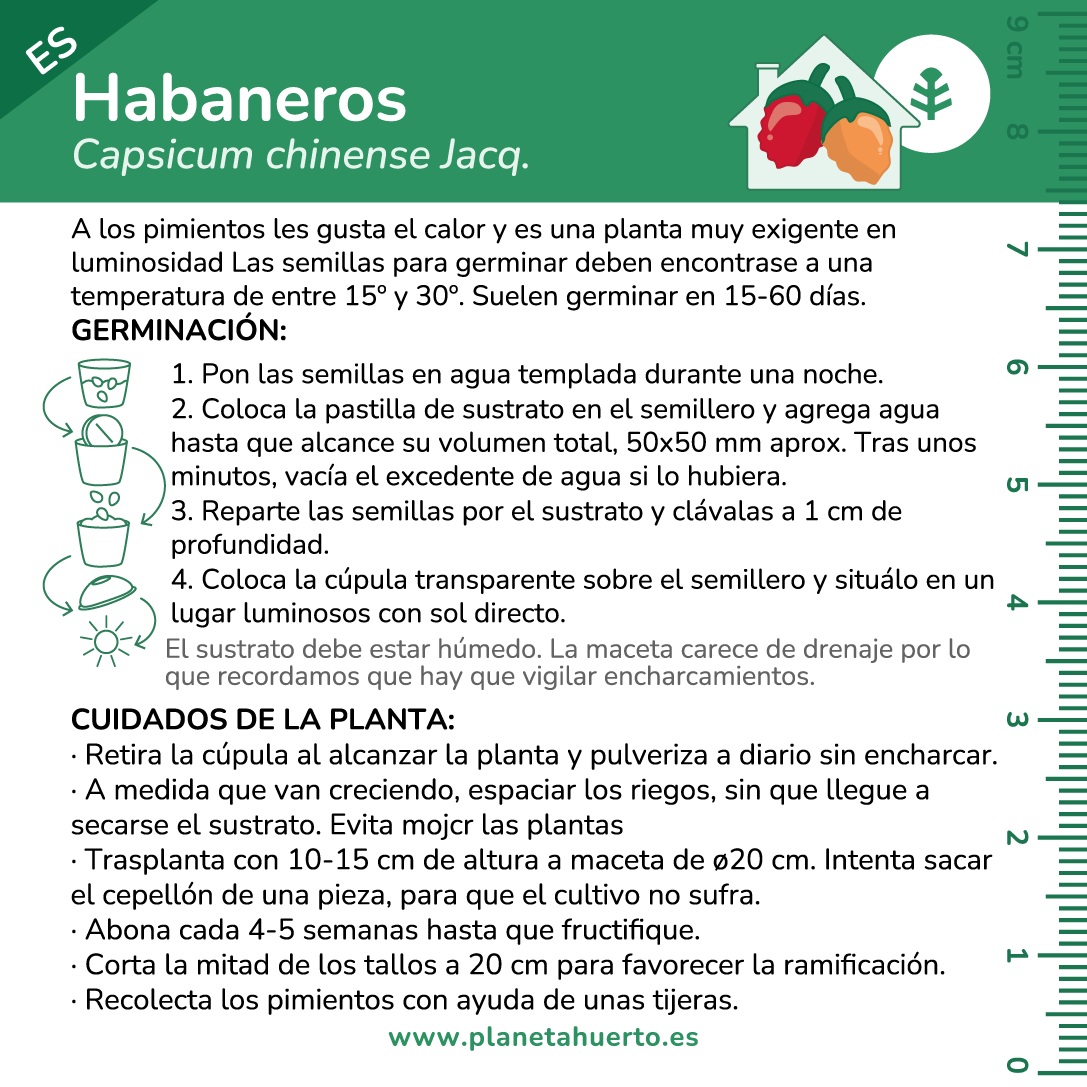 Kit de autocultivo Habaneros Planeta Huerto
