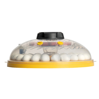 Incubadora Brinsea Maxi 48 Advance - Incubadora Para Huevos De Diferentes Especies De Ave - Con Volteo Automático_2