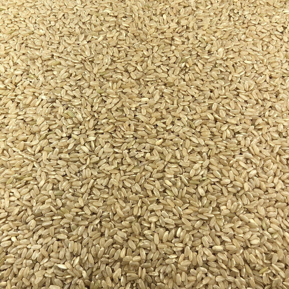 Arroz Integral Ecológico Granel 1 Kg_2