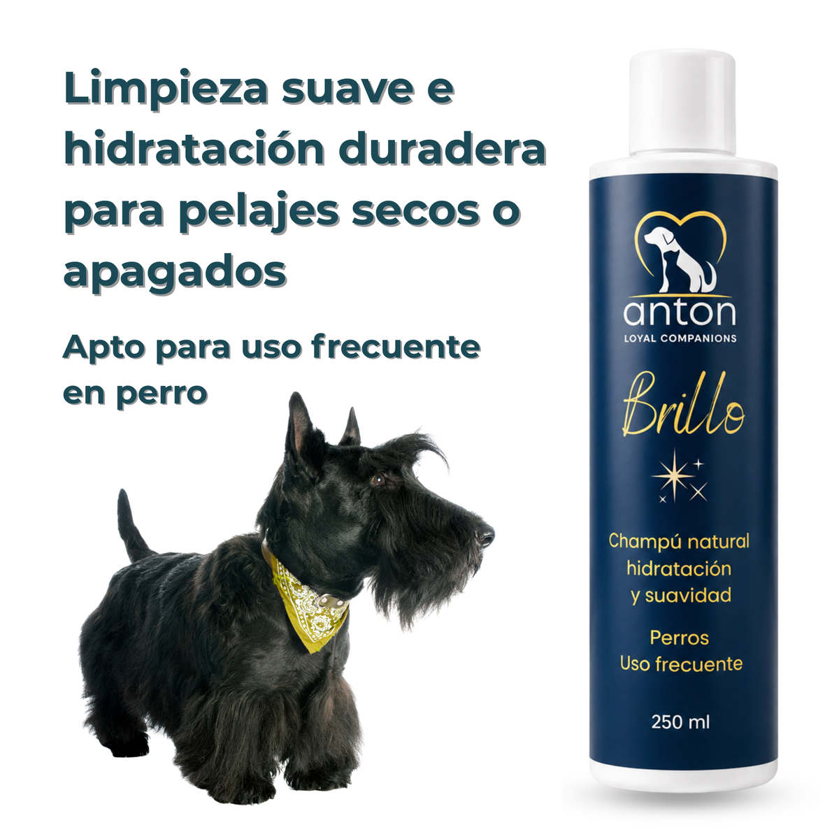 Champú natural para el cuidado del pelaje de perros – 250 ml_1