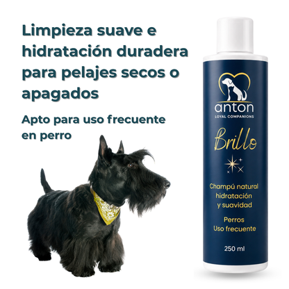 Champú natural para el cuidado del pelaje de perros – 250 ml_1
