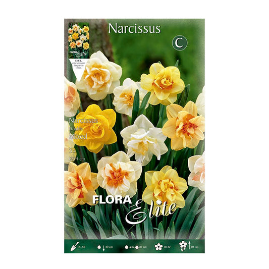Bulbos Narciso doble mezcla 5 uds