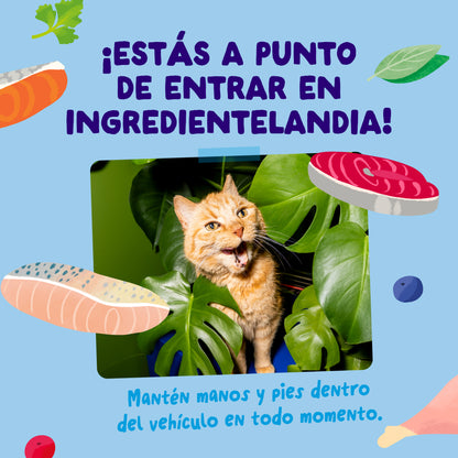 Sobres de comida húmeda para gatos Captura del Día Selección de Pescado en Salsa | Edgard &amp; Cooper 85 g