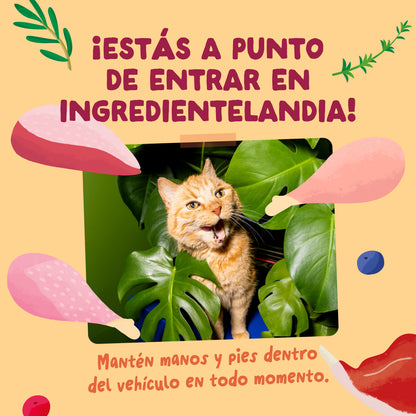 Sobres de comida húmeda para gatos Festines de la Granja Selección en Salsa | Edgard &amp; Cooper 85 g