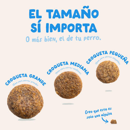 Pienso para perros Salmón Noruego Edgard &amp; Cooper 7 kg