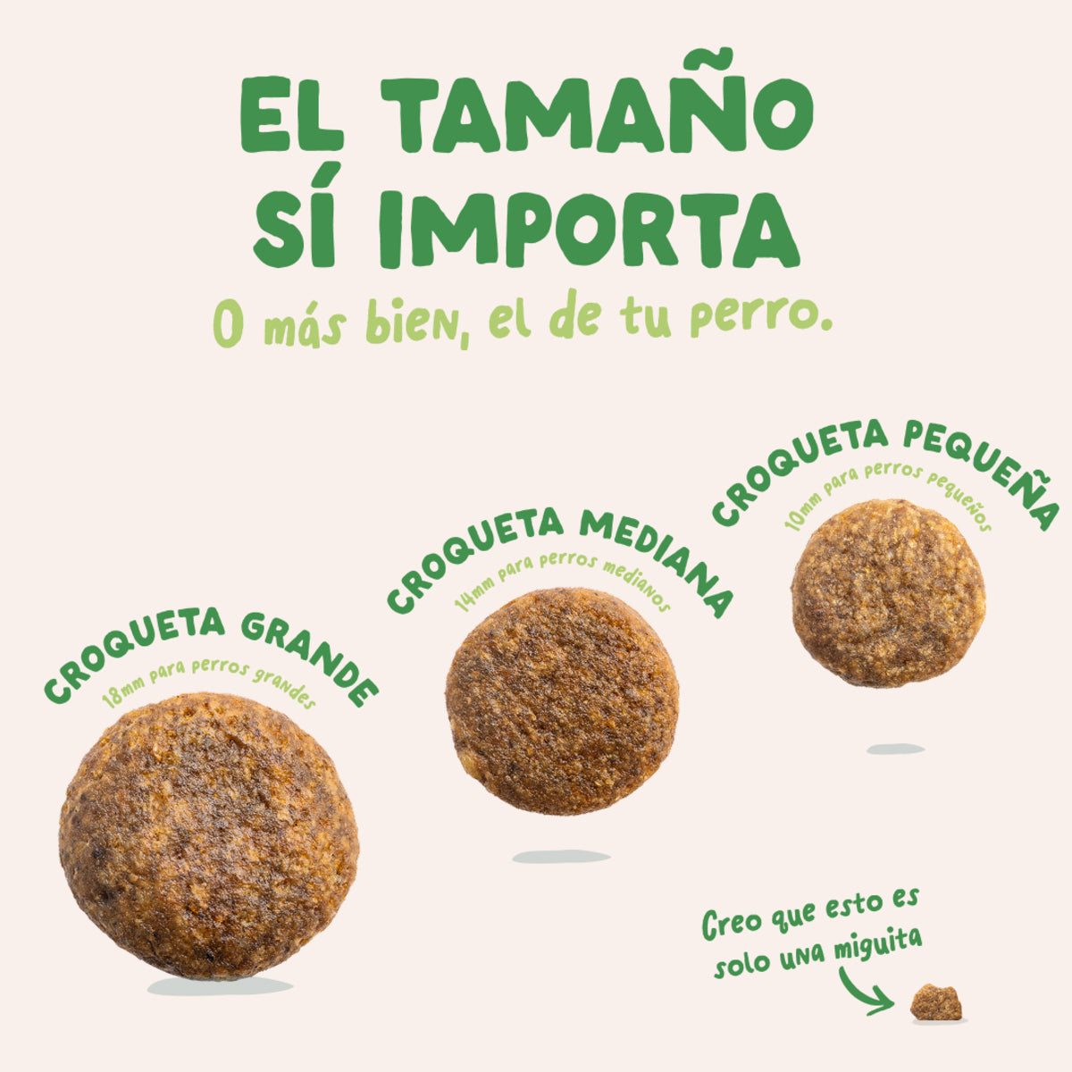 Pienso para perros Cordero Edgard & Cooper 1 Kg