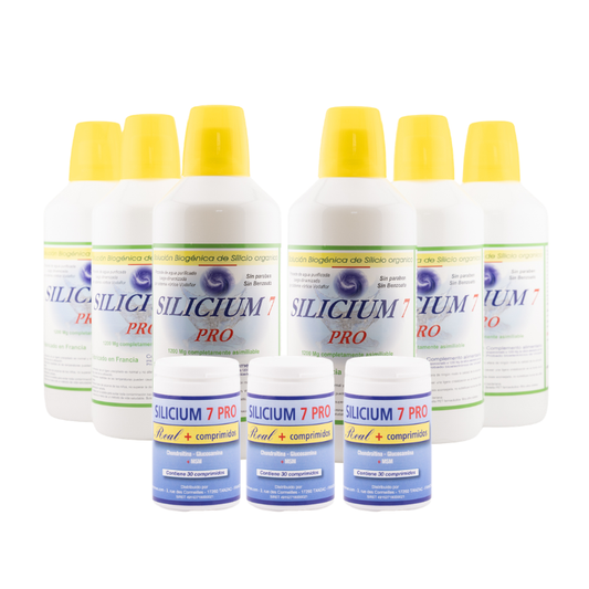 Pack Cura Transformación 6 Meses – Sil.7pro 6l + Real + X3_0
