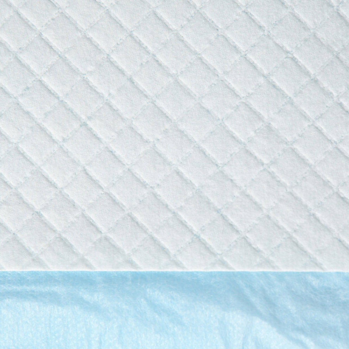 Pawhut Empapadores Para Perros 100 Unidad 45x60 Cm Diseño De 6 Capas Azul_3