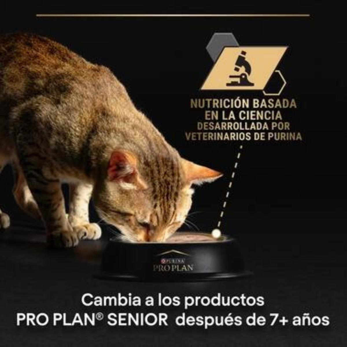 Pro Plan Gato Adulto Sterilised Maintenance Terrina con atún y salmón Purina lata 12 x 85 g