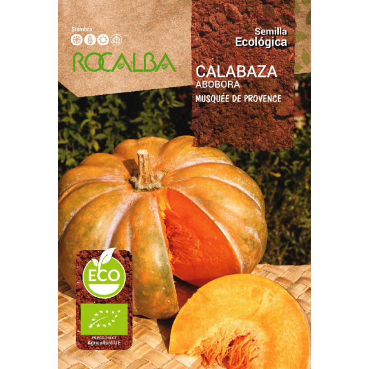 Semillas de calabaza musquee de provence ecológicas Rocalba