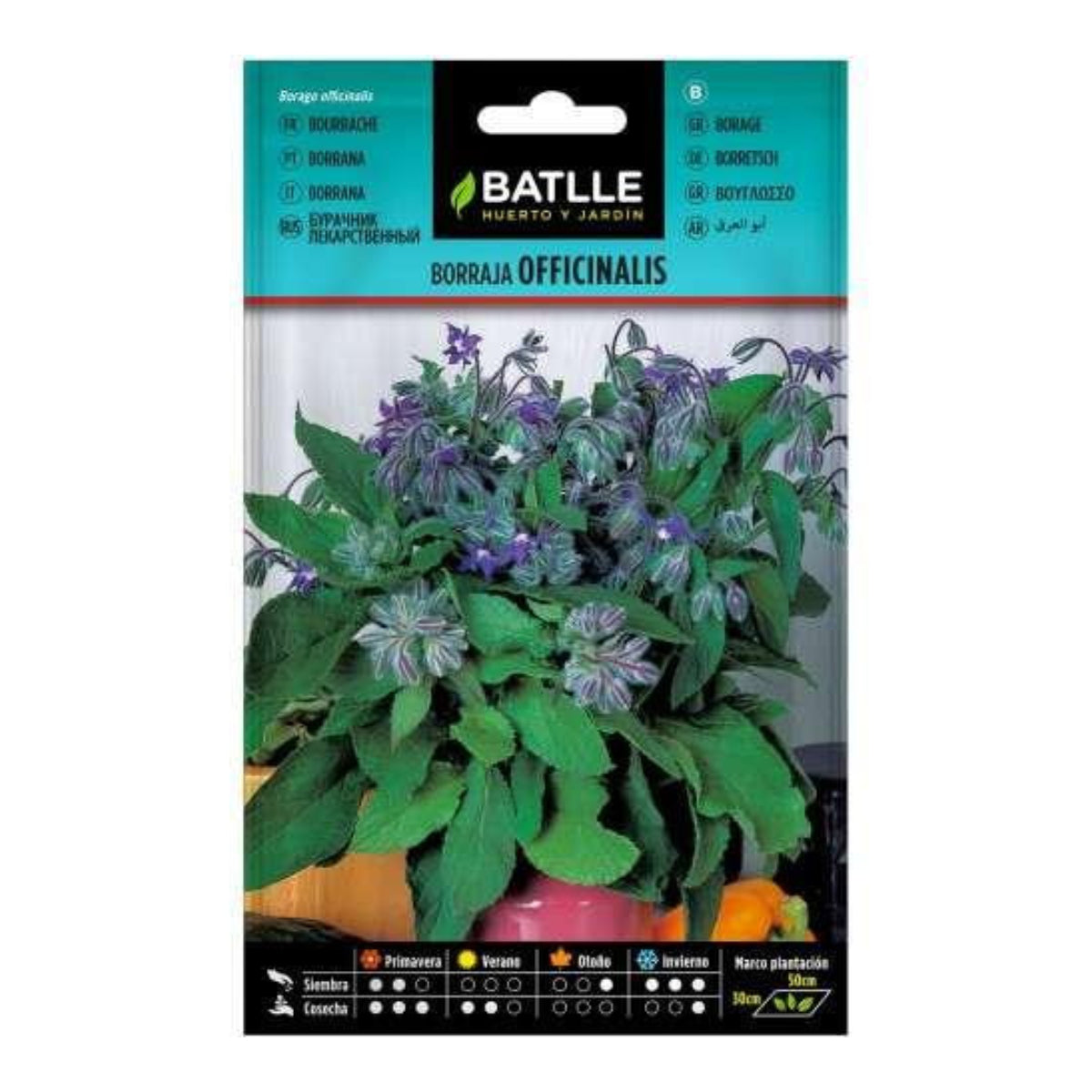 Semillas de Borraja officinalis Batlle