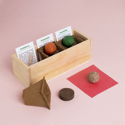 Kit Autocultivo Picantes Guindilla, Habanero y Jalapeño | Regalo Gourmet - Resetea_1