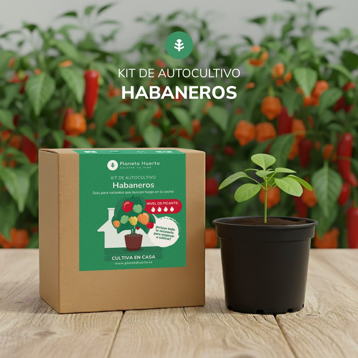Kit de autocultivo Habaneros Planeta Huerto
