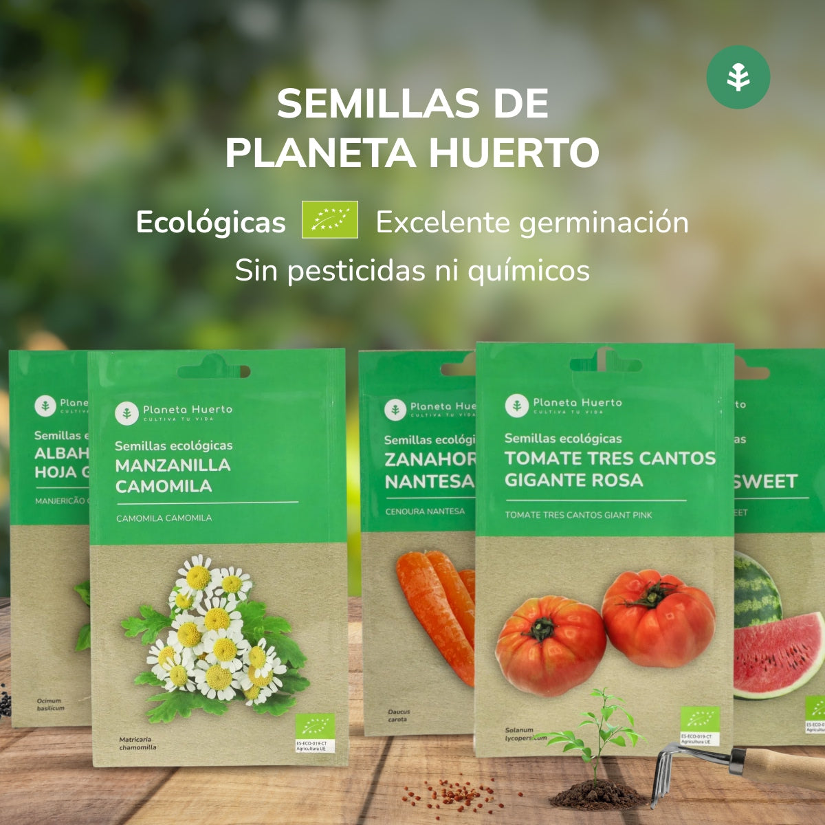 Semillas de Perejil común hoja lisa ecológicas Planeta Huerto