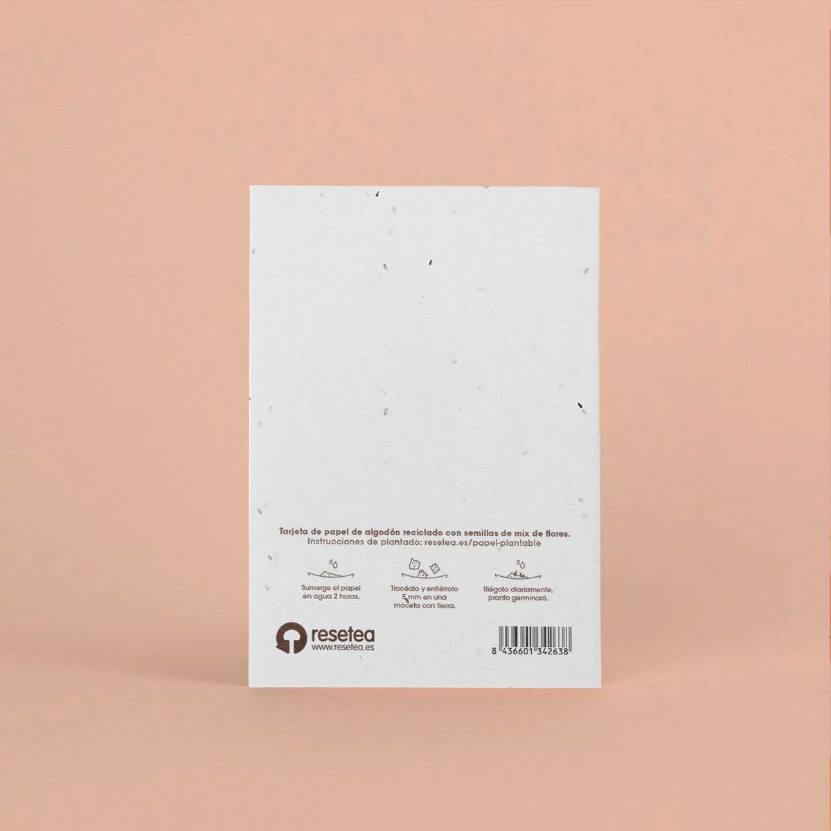 Postal Plantable "Que la Naturaleza te Acompañe" con Semillas de Flores – Tarjeta Original - Resetea_1