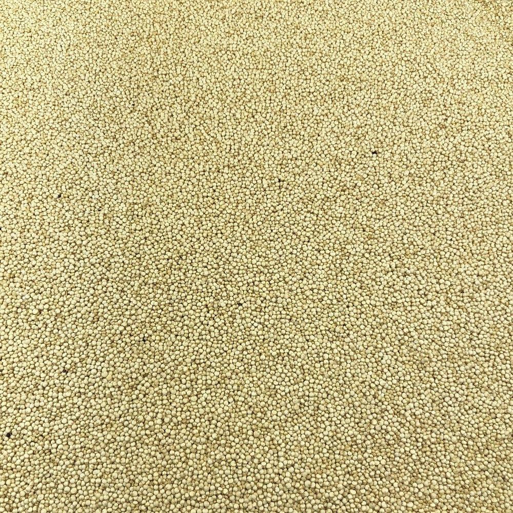 Quinoa Blanca Orgánica A Granel 0,5 Kg_2