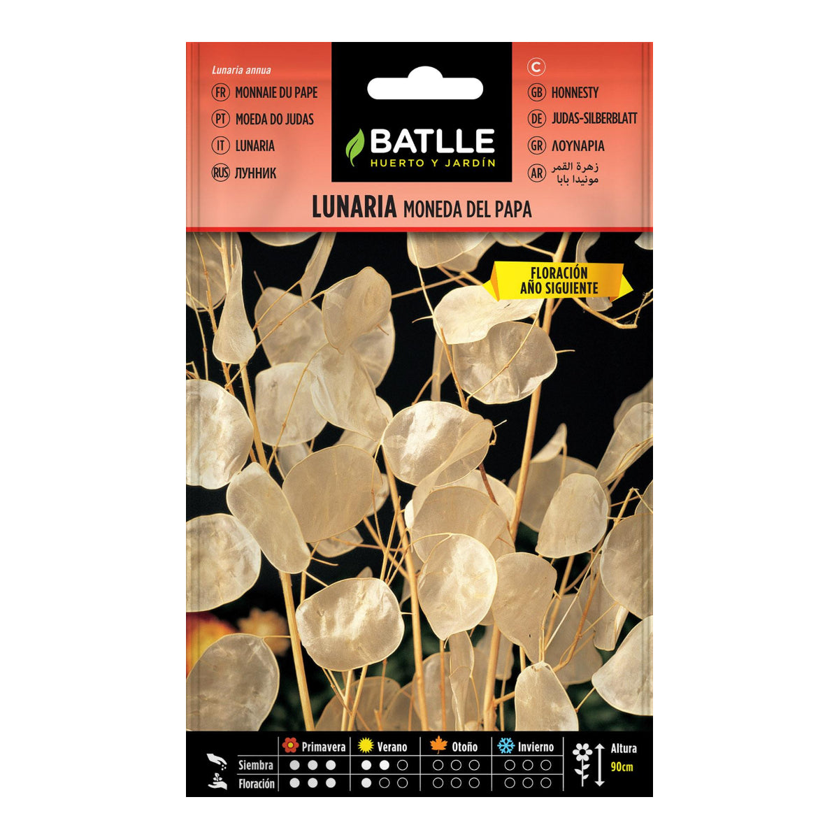 Semillas de Lunaria moneda del Papa Batlle